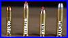 Big-Bore-Cartridges-Compared-Velocity-Tests-And-More-460-S-U0026w-Vs-444-Marlin-Vs-450-Bm-Vs-45-70-G-01-vrlg