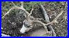 Cam-S-2024-Utah-Public-Mule-Deer-Hunt-01-eyrx