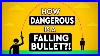 How-Dangerous-Is-A-Bullet-Shot-In-The-Air-Falling-Bullet-Debunked-01-pjlr