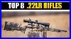 Top-8-Best-22lr-Rifles-The-Most-Accurate-22-Rifles-Madman-Review-01-jx